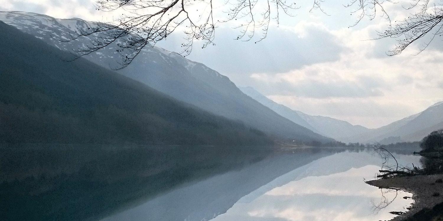 Yvondell's profile banner image