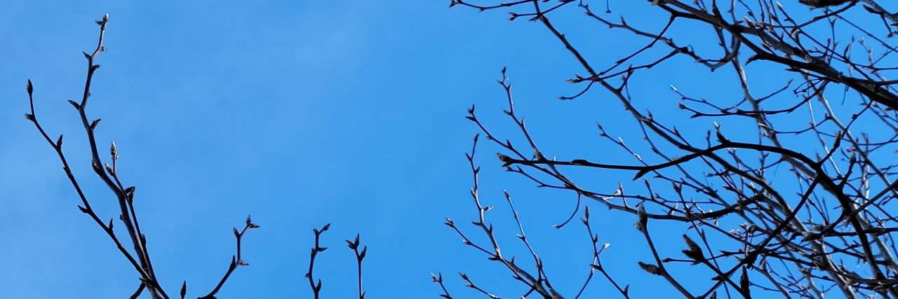 PhillipWms's profile banner image