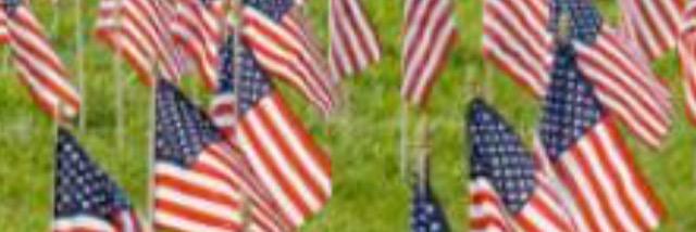 murphyusc22's profile banner image