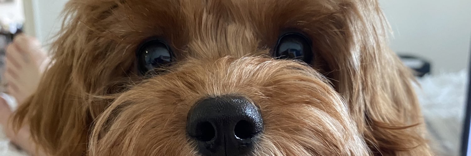 MickeyHardinggg's profile banner image