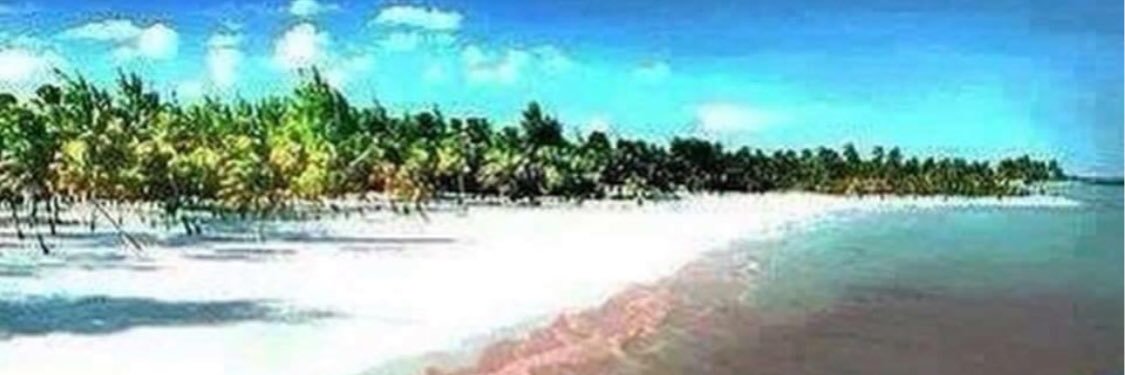 Frank Neit Cabrera banner