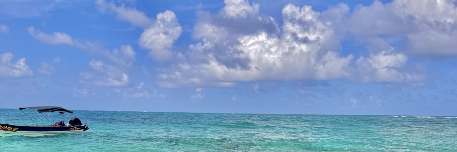 danielaapg's profile banner image