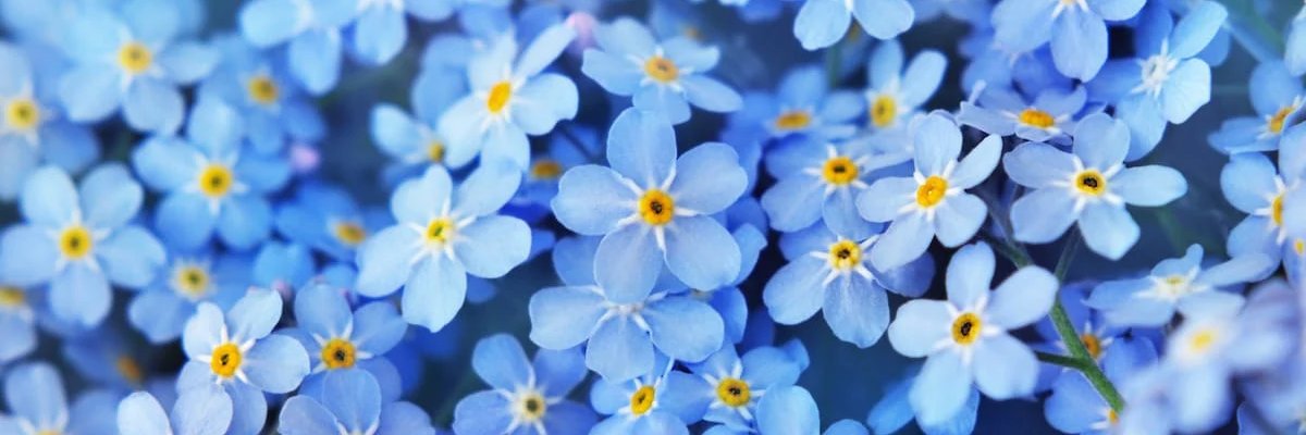 jordank925's profile banner image