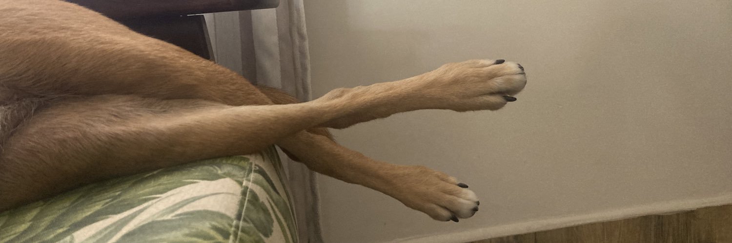 QuaseGrande's profile banner image