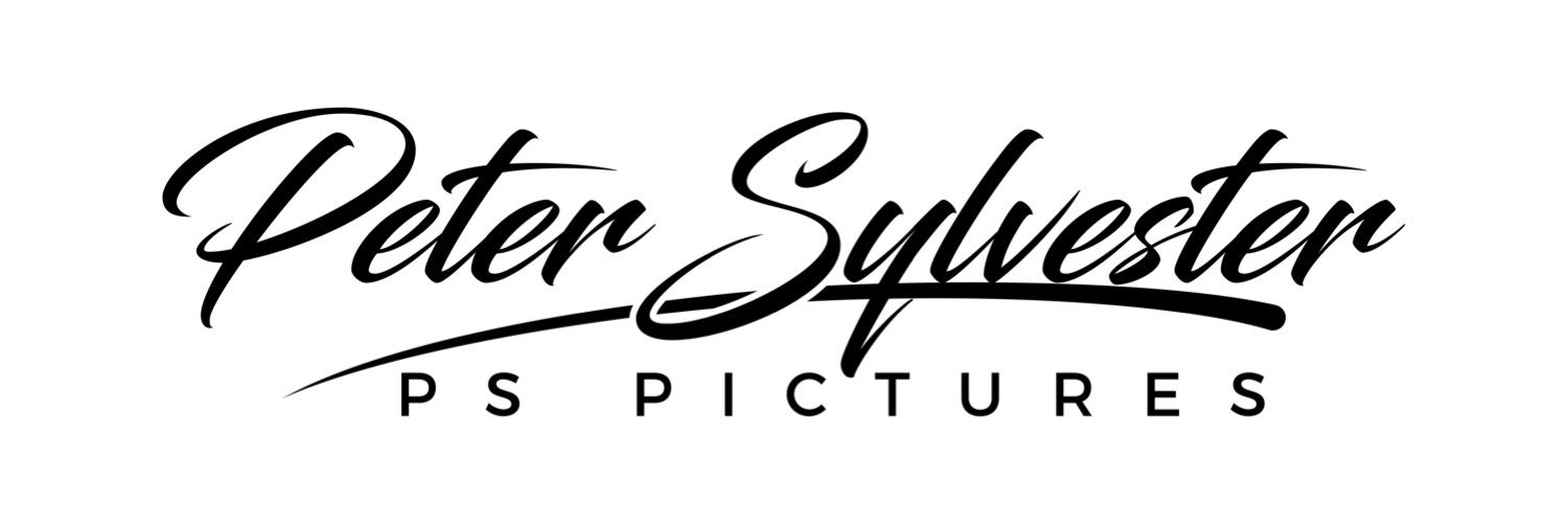 PStheartist's profile banner image