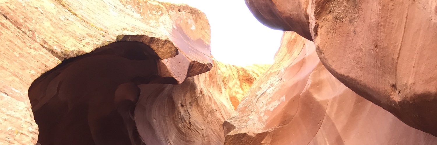 David B Shipper banner