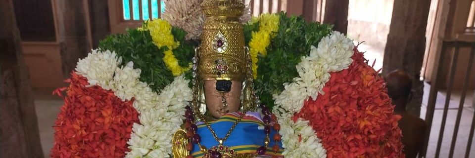 THAAYAR's profile banner image