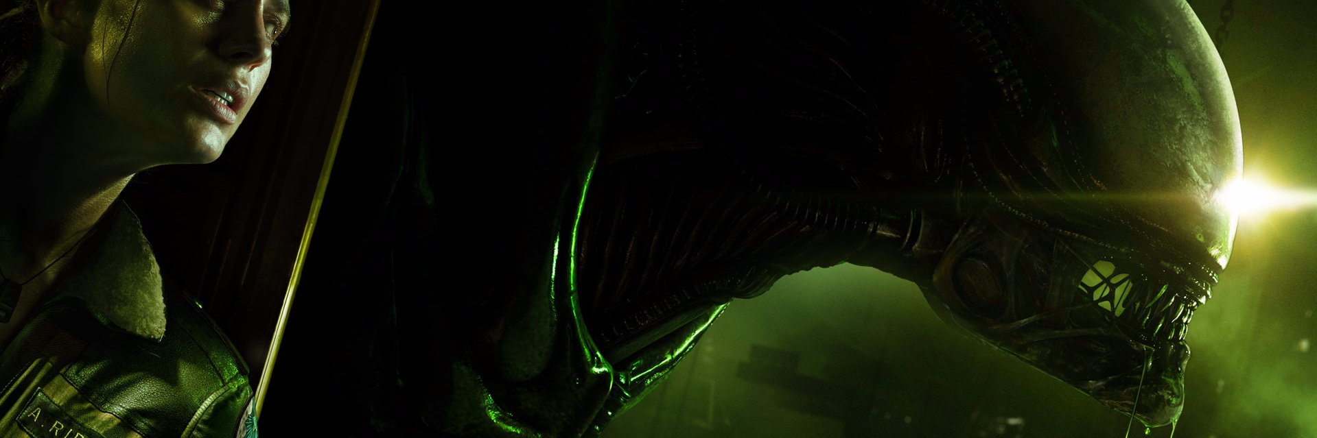 Bruno_Moskito's profile banner image
