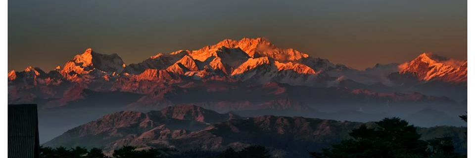 mmdmumbai's profile banner image