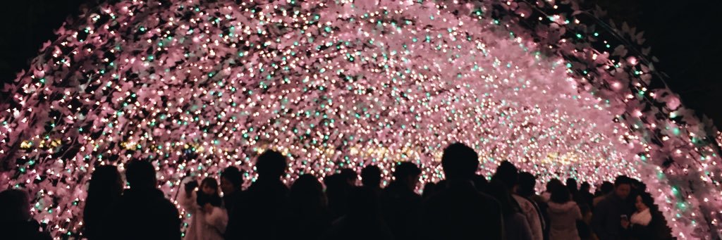 JaMonroy's profile banner image