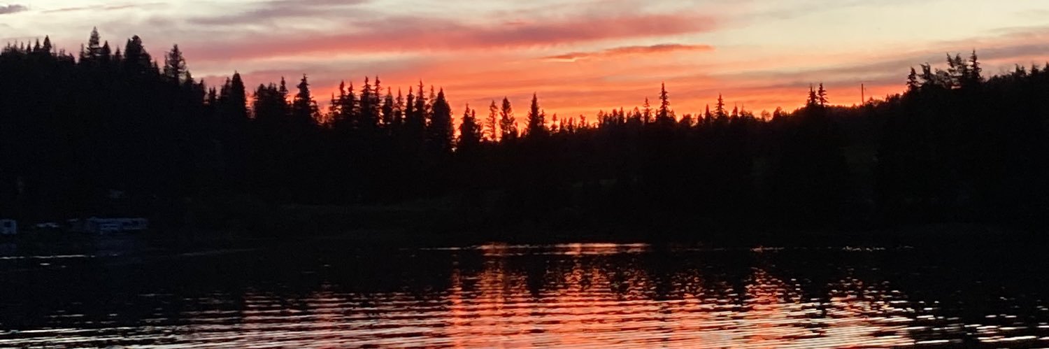 Chrystal Tagmann 🇨🇦 banner