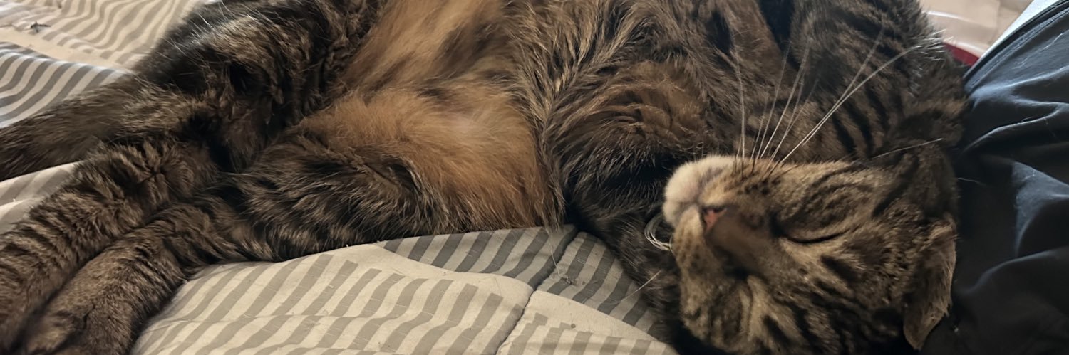 Phil McCracken banner