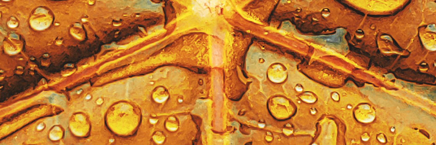 brybry07744's profile banner image