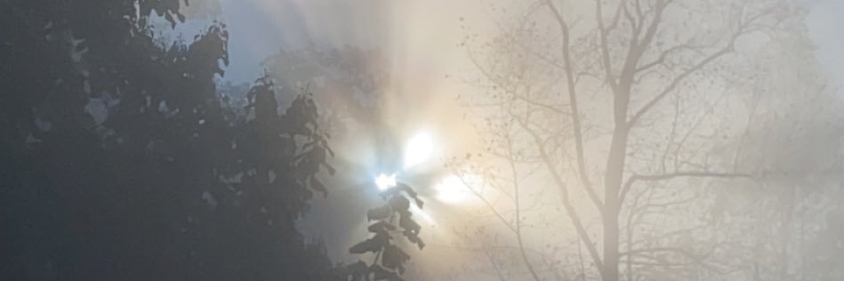 cam0arn's profile banner image