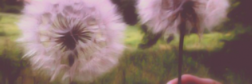 salesaicha's profile banner image