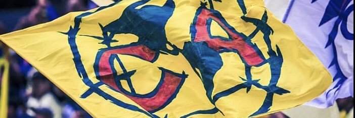 rodopina's profile banner image
