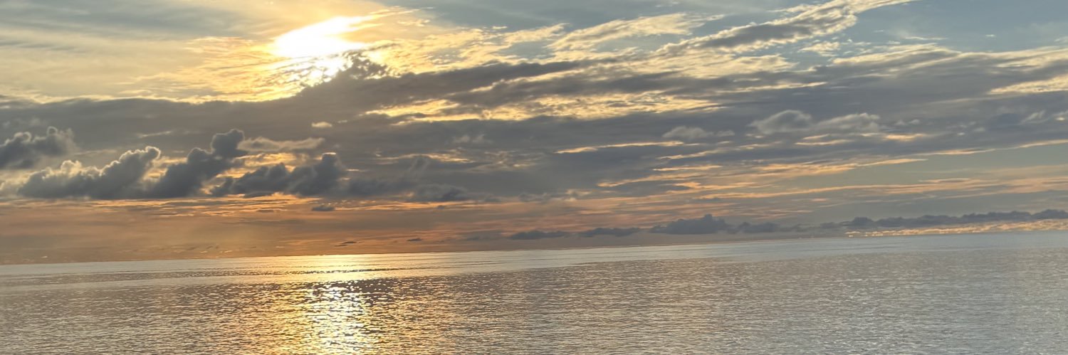 carmenedithla's profile banner image