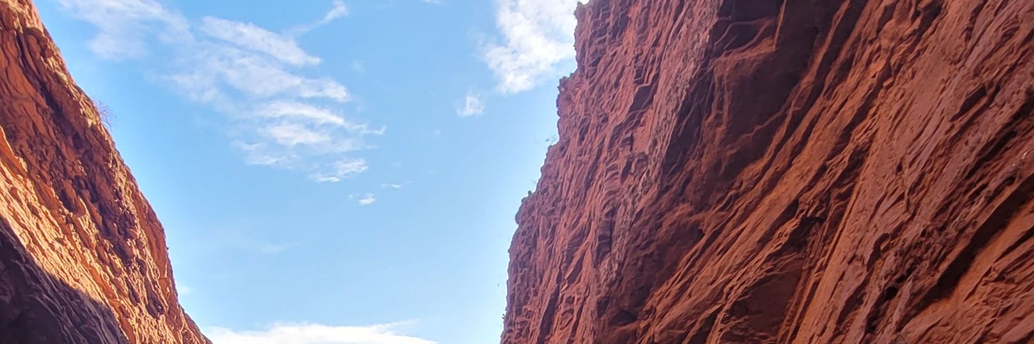 Tomás banner