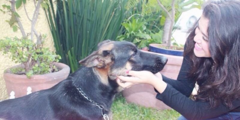 ValeGlezO's profile banner image