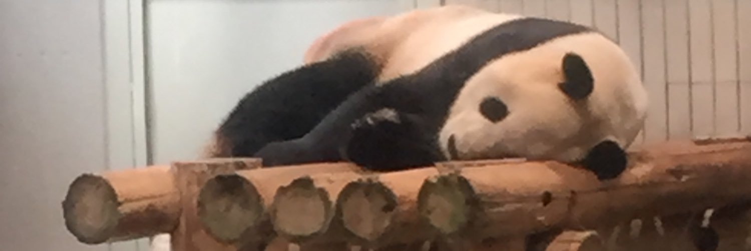 lowspec_Lady's profile banner image