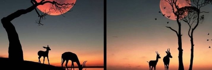 NYITSE7's profile banner image
