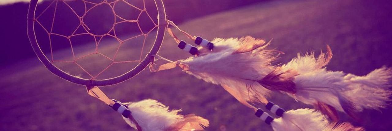 CarolinaEntz's profile banner image
