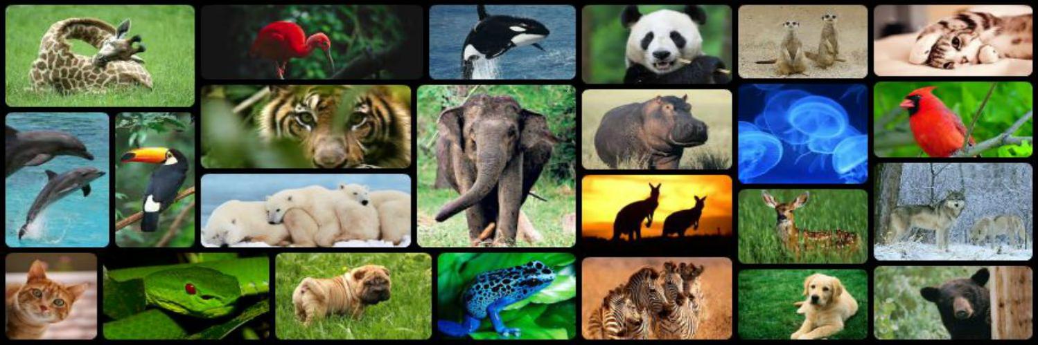 Check123 NATURE banner