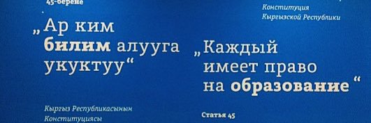 moeskg's profile banner image