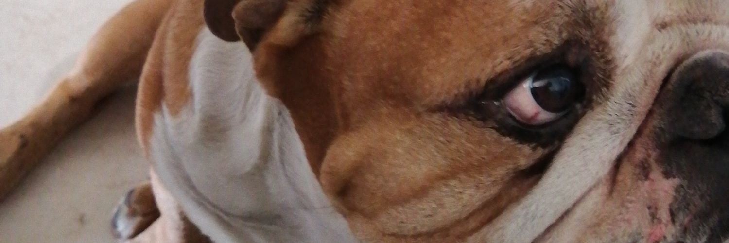 GerasContrerasM's profile banner image