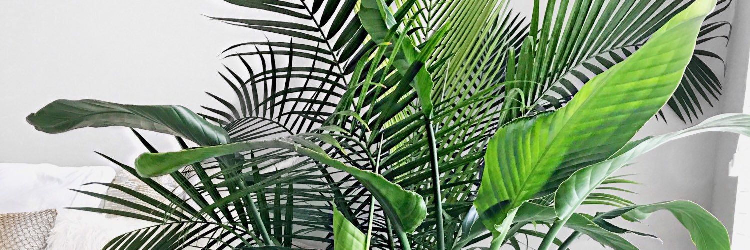 _NikkiLane_'s profile banner image