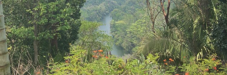 Ryan White 💫 banner