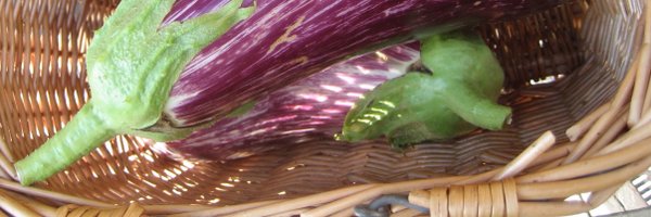 TheYarden Profile Banner