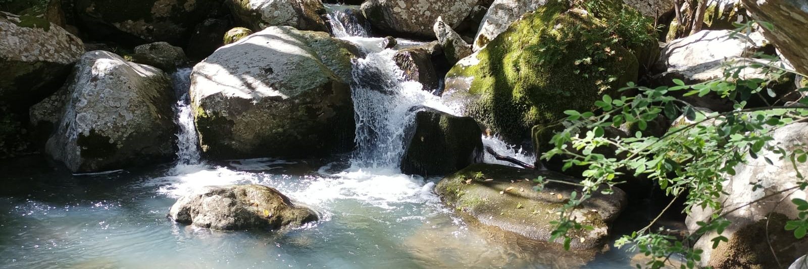 Isabel Aguilera banner