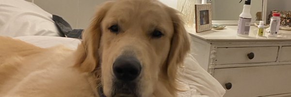 Quatelyn Profile Banner