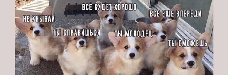 RolfKsenia's profile banner image