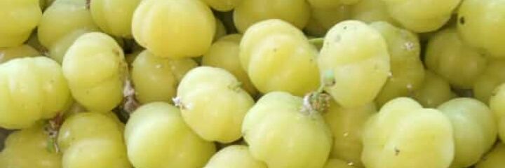adiputra215's profile banner image
