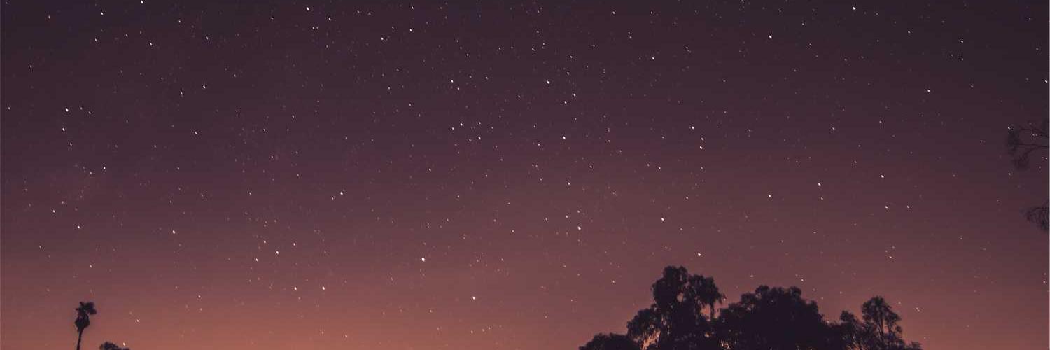 Bipolarography's profile banner image