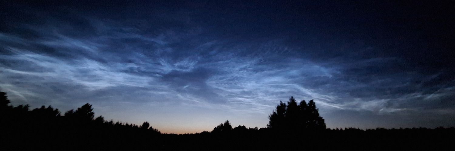 Natale Domini banner