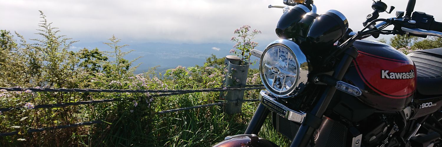 Leoniconico's profile banner image