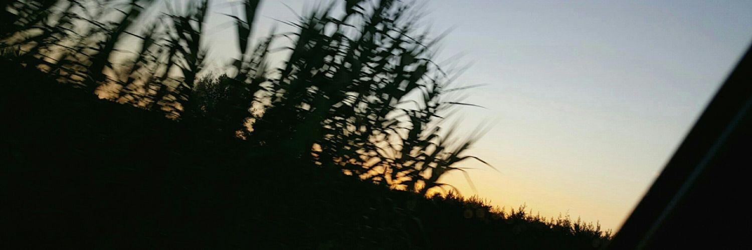 FrosaliGf's profile banner image