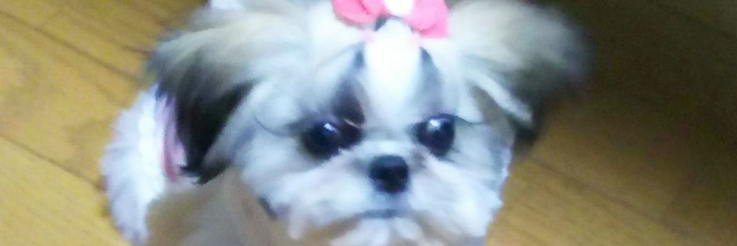 maroandreirao2's profile banner image