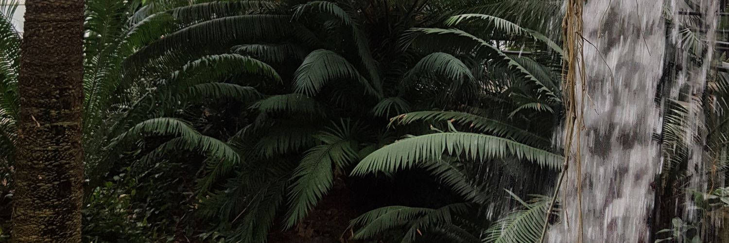 nljaja20's profile banner image