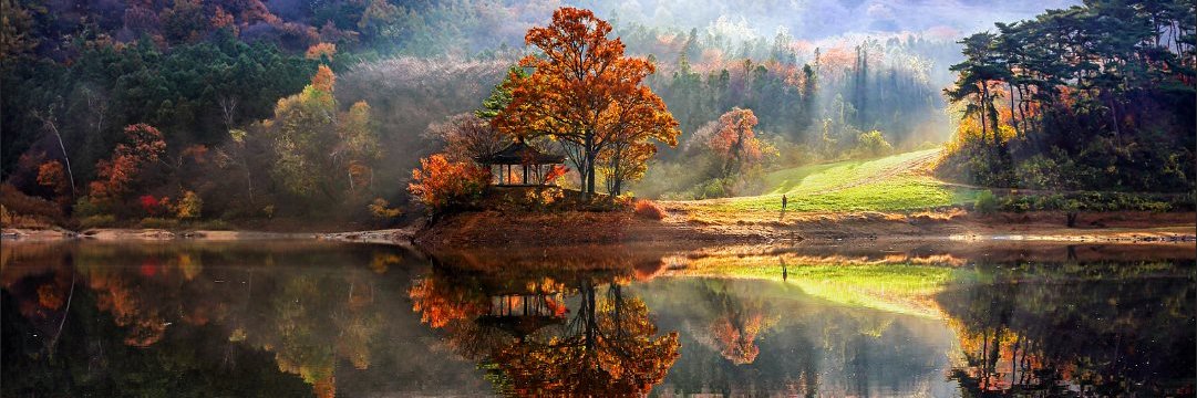 Jonathan C. Lo, MD, MPH banner