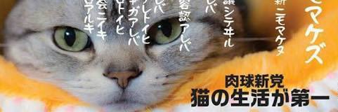 Adachi@肉球新党 banner