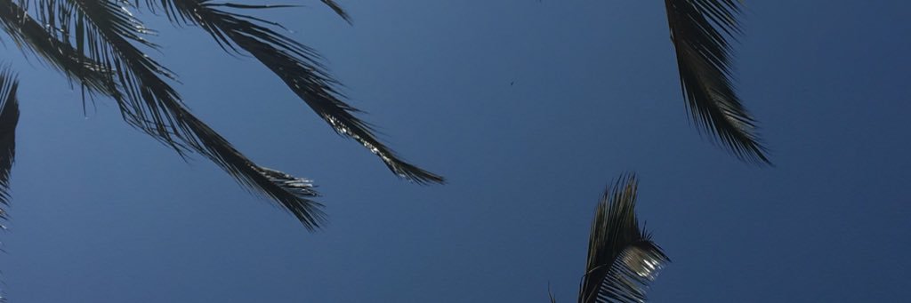 hgtvicca's profile banner image