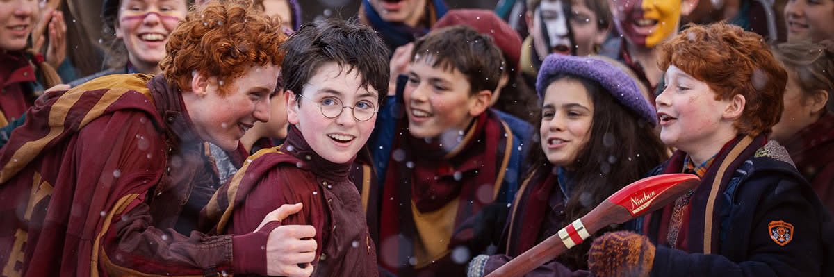 filhote de carnaval banner