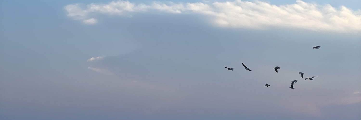 psohappyy's profile banner image