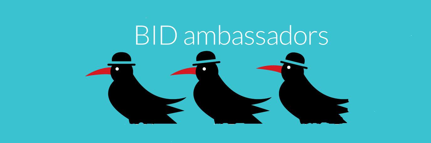BIDAmbassadors's profile banner image