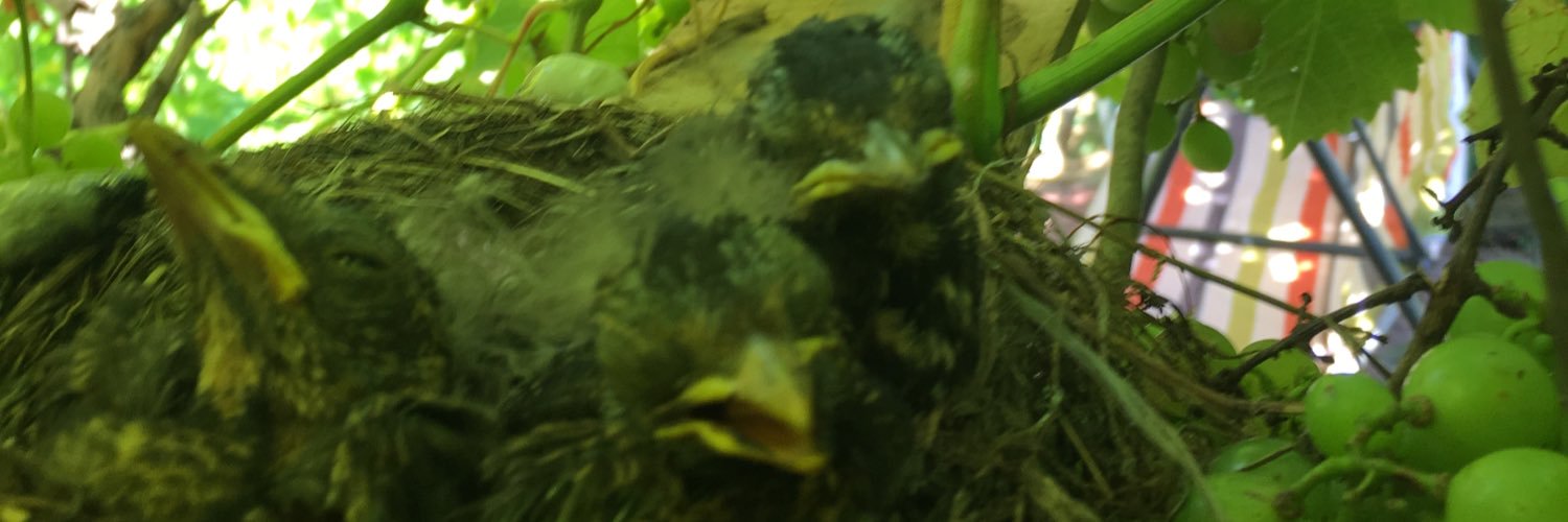 Claudicus's profile banner image