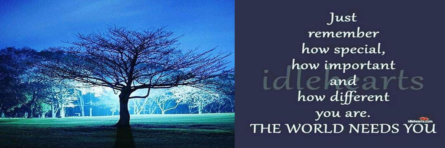 Rockwithwisdom's profile banner image